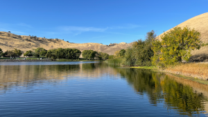Contra Loma Regional Park 