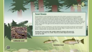 Forest streams infographic