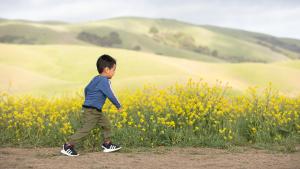 Small Boy Hiking in Garin