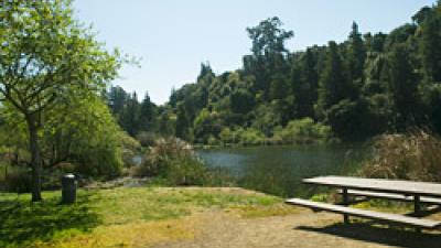 Temescal picnic tables