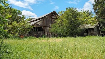 borel project barn photo
