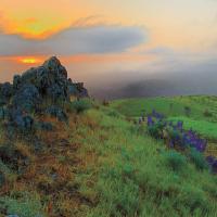 Sibley Volcanic Regional Preserve