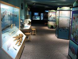 Crab Cove Visitor Center