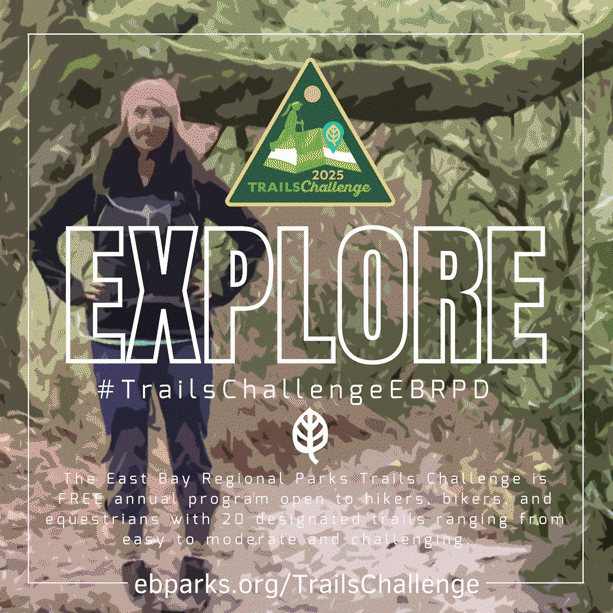 Explore
