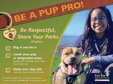 Be A Pup Pro