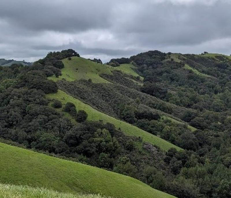 Palomares Cyn Hero