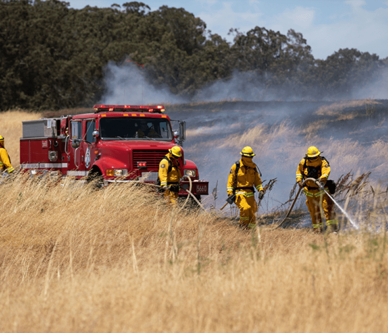 Police Officer on a bike, Firefighters battling grass fire, Lifeguard in pool with kids